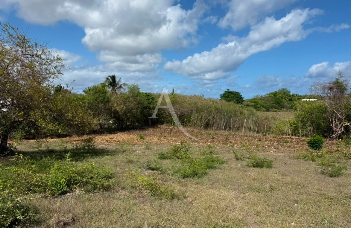 Vente Terrain 1000m&sup2; Sainte Anne