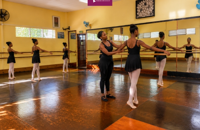 &Agrave; VENDRE   &Eacute;cole de danse embl&eacute;matique de Basse-Terre   35 ans d'existence   230 &eacute;l&egrave;ves actifs