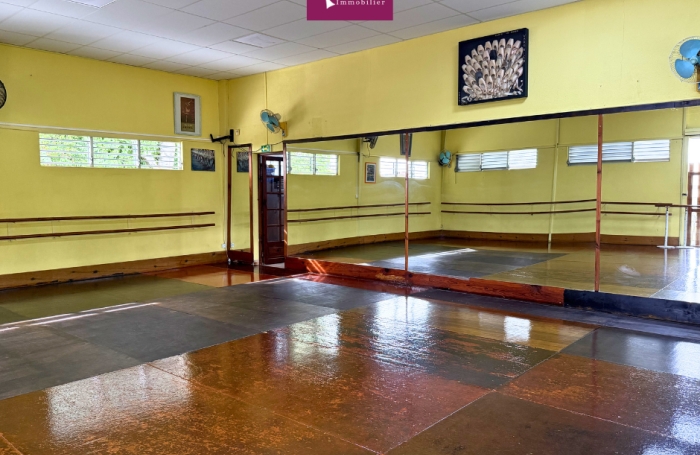 &Agrave; VENDRE   &Eacute;cole de danse embl&eacute;matique de Basse-Terre   35 ans d'existence   230 &eacute;l&egrave;ves actifs