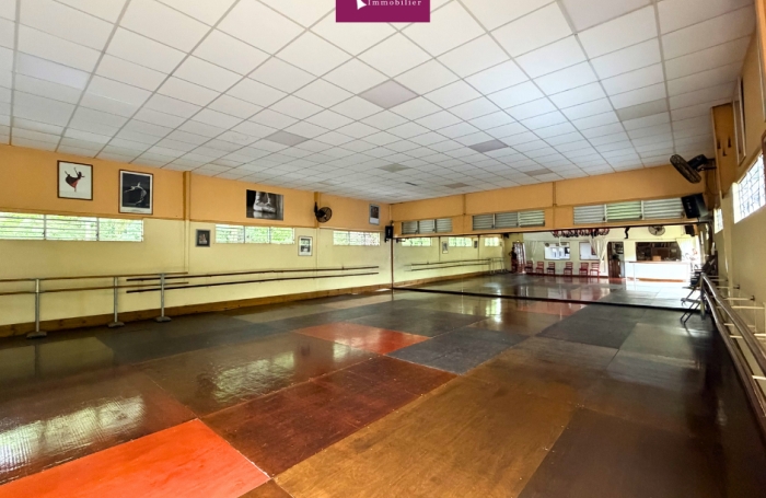 &Agrave; VENDRE   &Eacute;cole de danse embl&eacute;matique de Basse-Terre   35 ans d'existence   230 &eacute;l&egrave;ves actifs