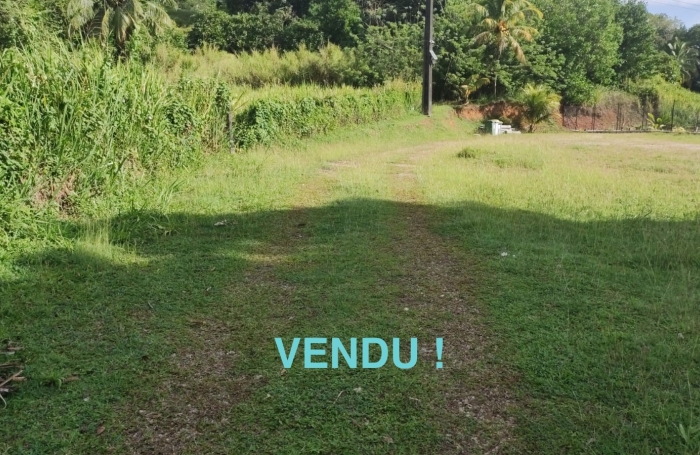 Vente Terrain 97170