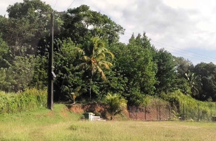 Commune de Petit-Bourg en Guadeloupe Terrain constructible de 1180 m2