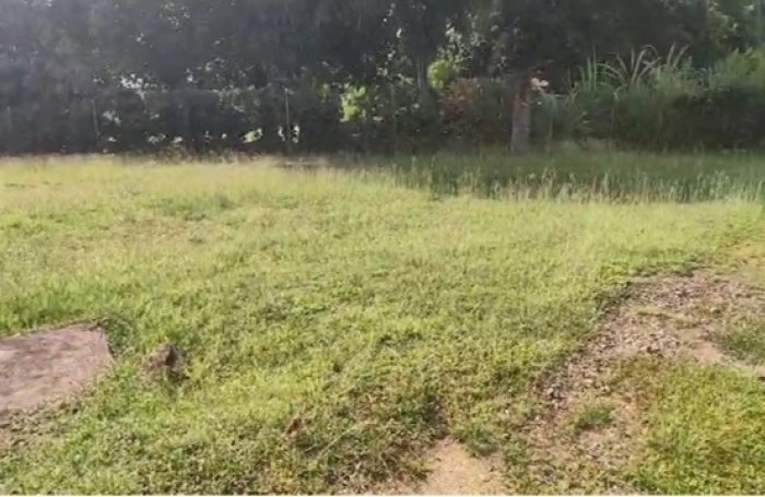 Commune de Petit-Bourg en Guadeloupe Terrain constructible de 1180 m2