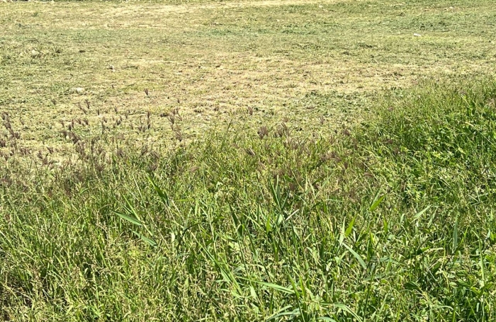 Le Moule -Terrain constructible 625m2