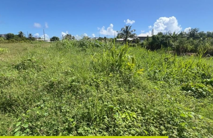Le Moule -Terrain constructible 628m2