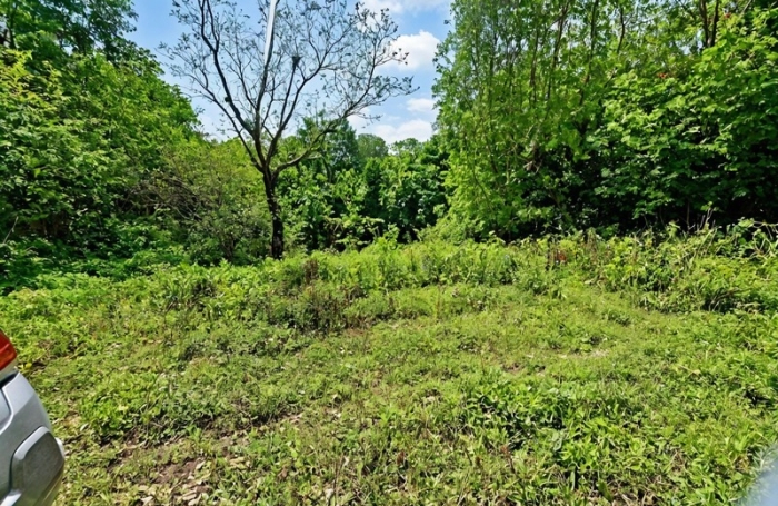 Vente Terrain 1680m&sup2; Sainte Anne