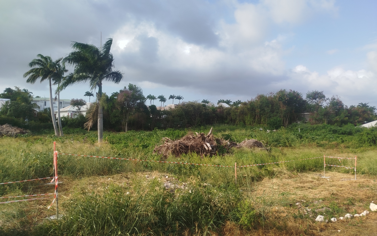 Vente Terrain 