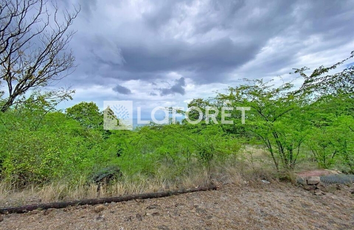 Vente Terrain 