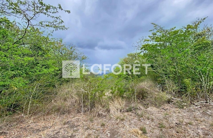 Vente Terrain 6800m&sup2; Pointe-Noire