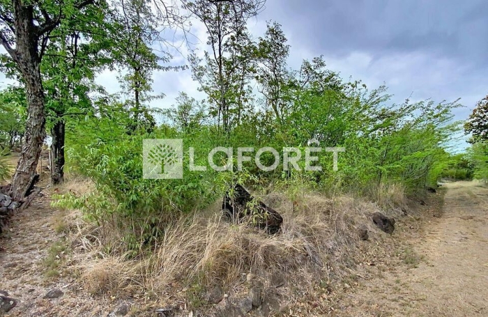 Vente Terrain 6800m&sup2; Pointe-Noire