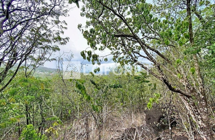 Vente Terrain 6800m&sup2; Pointe-Noire