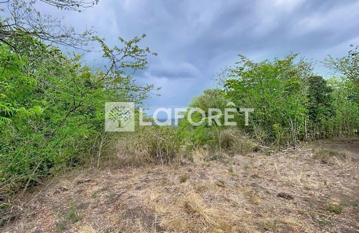 Vente Terrain 6800m&sup2; Pointe-Noire
