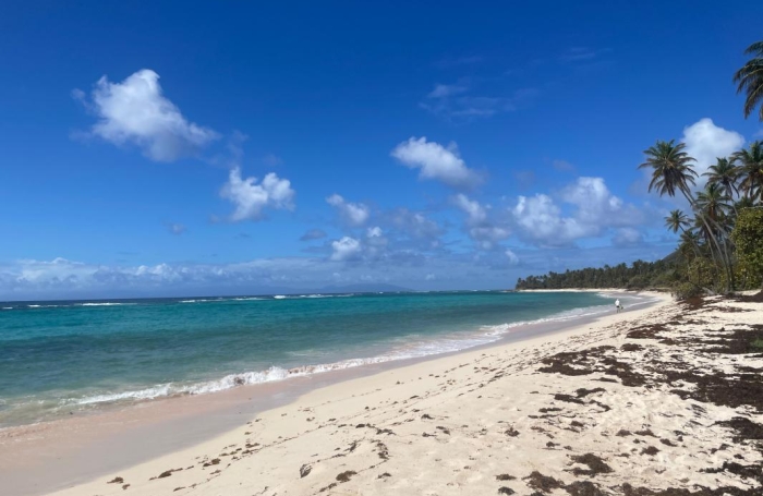 Vente Terrain 38180m&sup2; Capesterre de Marie Galante