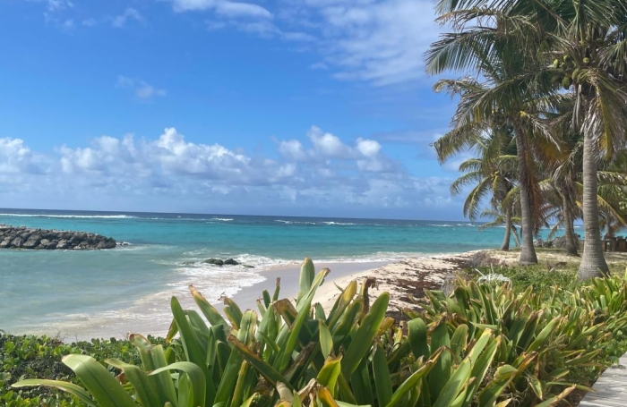 Vente Terrain 38180m&sup2; Capesterre de Marie Galante