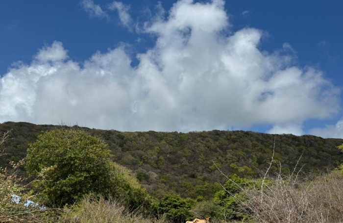 Vente Terrain 38180m&sup2; Capesterre de Marie Galante