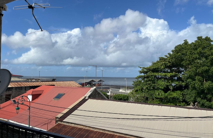 BASSE-TERRE- Immeuble de rapport avec fort potentiel locatif   Proximit&eacute; imm&eacute;diate du centre-ville