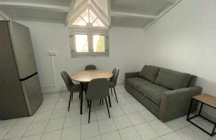 Location Appartement 97190