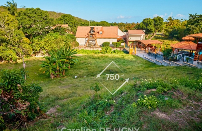 Vente Terrain 97126