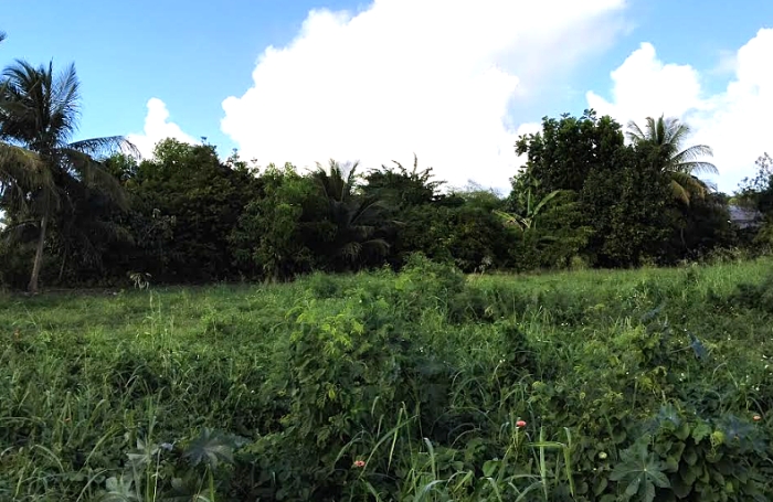 A Dubedou Saint Fran&ccedil;ois, beau terrain plat de 795m2 &agrave; vendre dans un secteur r&eacute;sidentiel, b&eacute;n&eacute;ficiant d'un emplacement privil&eacute;gi&eacute;.