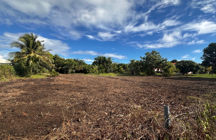 Vente Terrain 97118