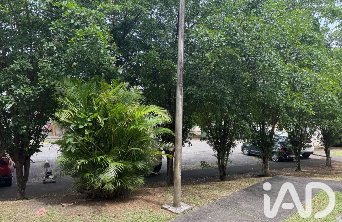 Vente Appartement 56m&sup2; 2 pièces Sainte Rose