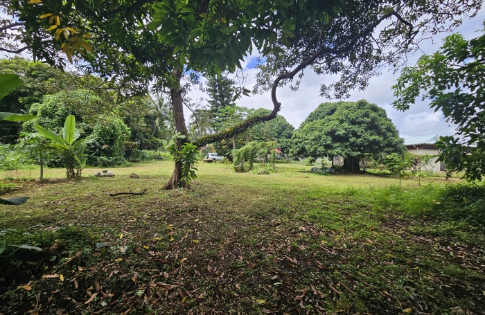 Vente Maison 97130