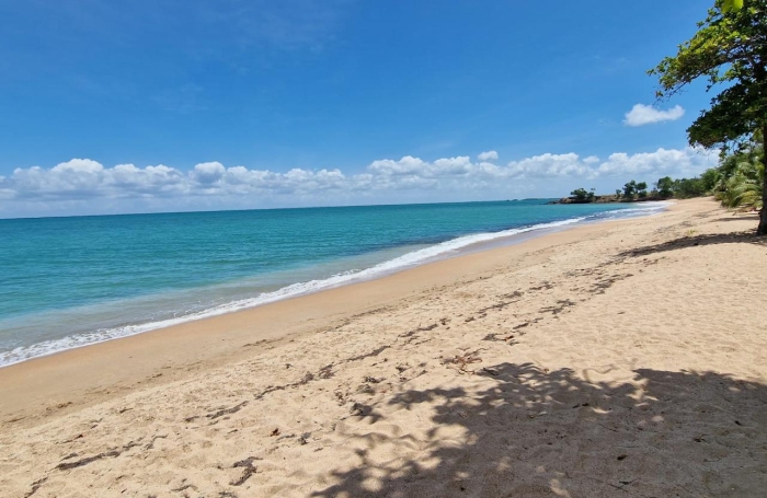 TERRAIN AVEC PERMIS - OPPORTUNITE - SAINTE ROSE