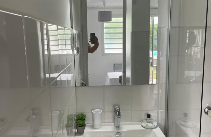 APPARTEMENT MEUBLE DE STANDING