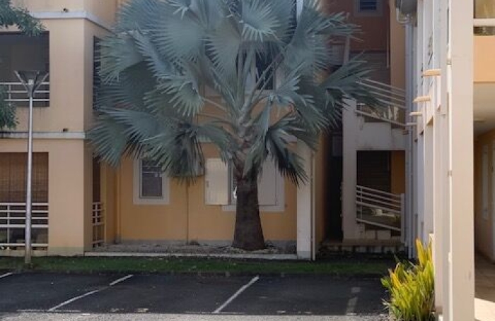 Vente Appartement 97122