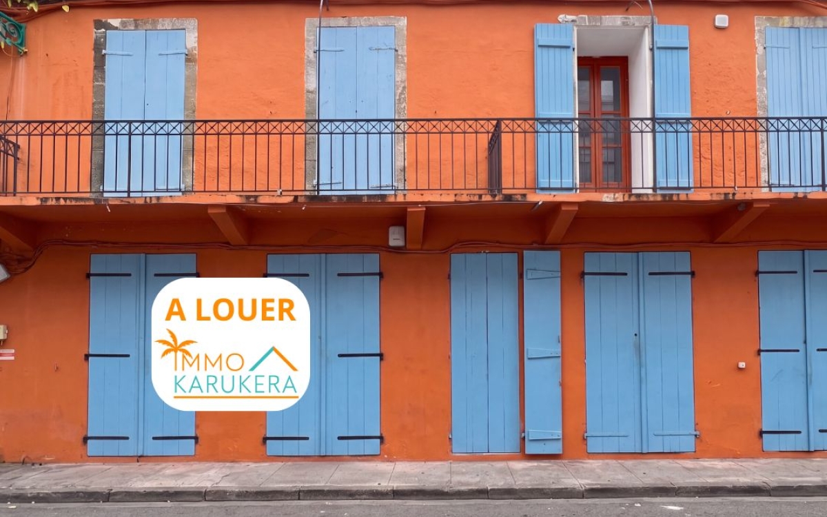 Location Local professionnel 97100