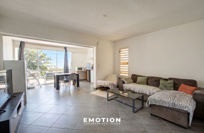 APPARTEMENT T2 - 51 M2 - AVEC TERRASSE - VUE MER