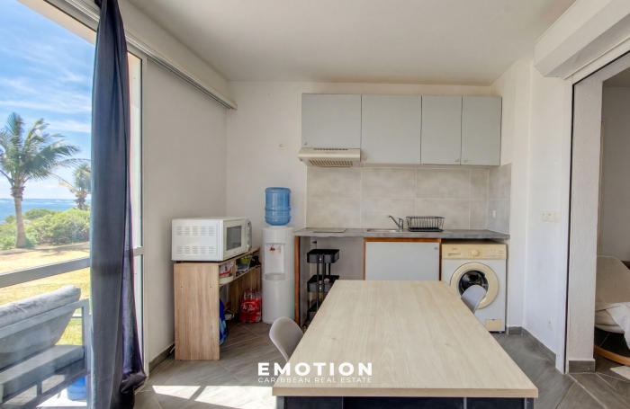 APPARTEMENT T2 - 51 M2 - AVEC TERRASSE - VUE MER