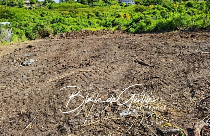 Vente Terrain 1000m&sup2; Saint Fran&ccedil;ois