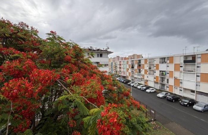 Appartement enti&egrave;rement r&eacute;nov&eacute; sur Pointe-&agrave;-Pitre ! Longfort Immobilier