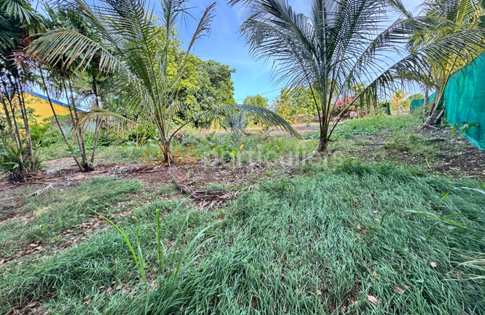 Vente Terrain 1018m&sup2; Saint Fran&ccedil;ois