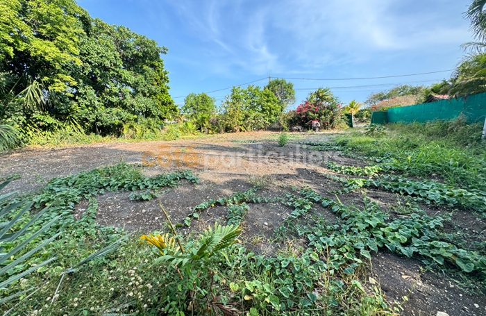 Vente Terrain 1018m&sup2; Saint Fran&ccedil;ois