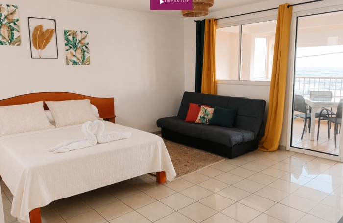 Location Appartement 97160