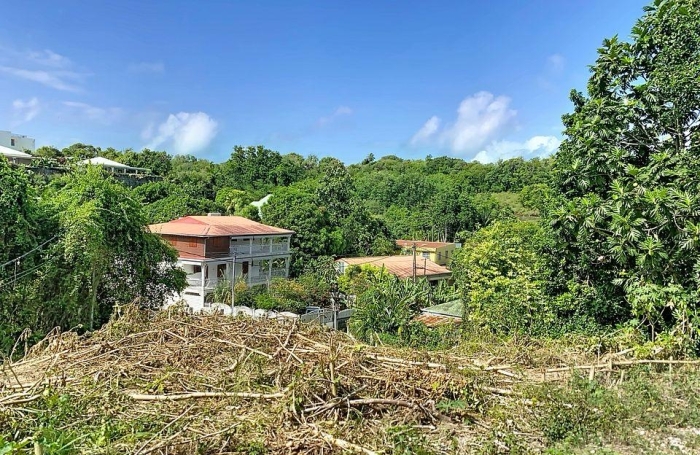 Vente Terrain 