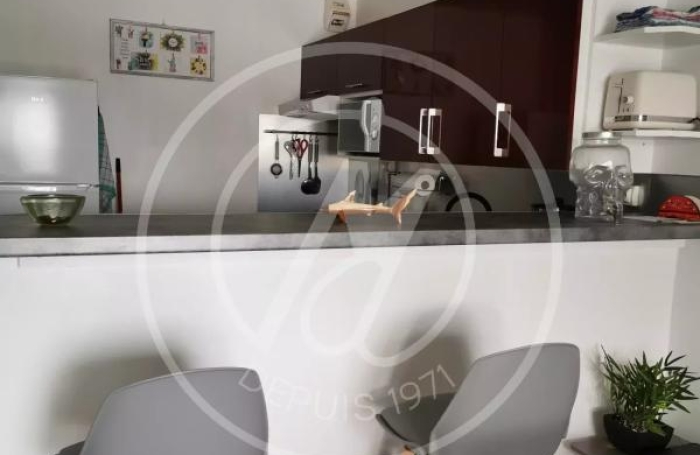 Location Appartement 97190