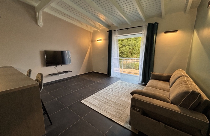 A LOUER - Appartement F3 de standing meubl&eacute;   Le Gosier / Entr&eacute;e de Dampierre