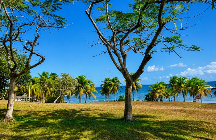 Studio vue mer en premi&egrave;re ligne &agrave; Sainte-Anne   Dernier &eacute;tage   R&eacute;sidence s&eacute;curis&eacute;e avec acc&egrave;s plage
