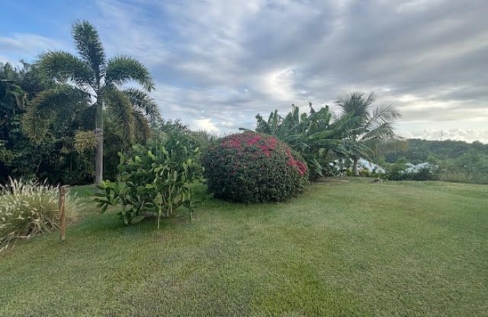 Location Maison 176m&sup2; 5 pièces Sainte Anne