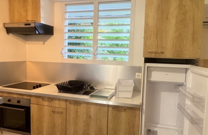 Location Appartement 97139
