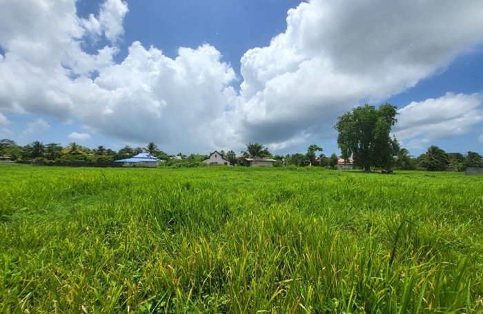Vente Terrain 710m&sup2; Les Abymes