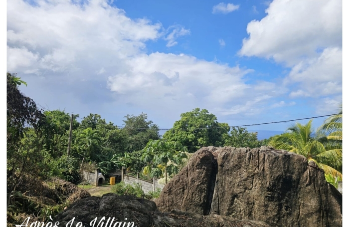 Vente Terrain 97116