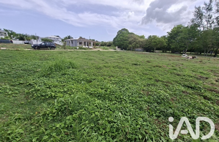 Vente Terrain 97118