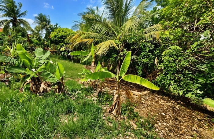 Vente Maison 73m&sup2; 4 pièces Sainte Anne