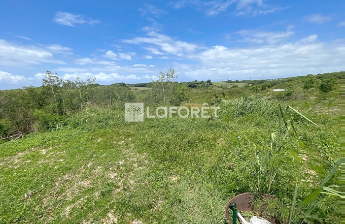 Vente Terrain 400m&sup2; Sainte Anne