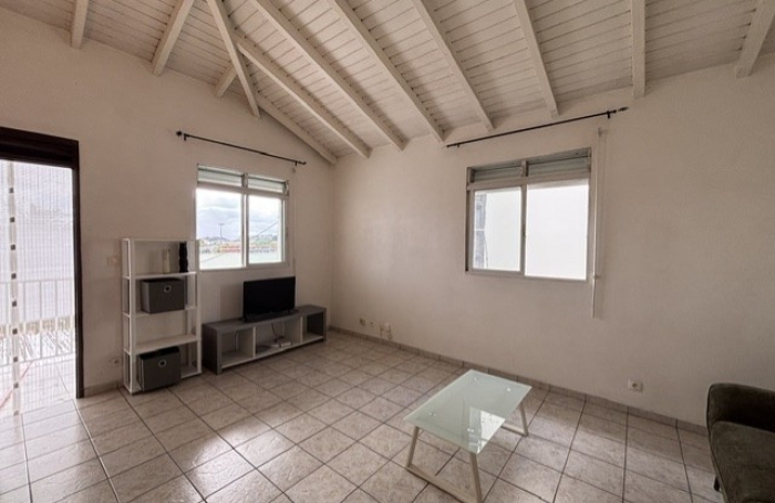 Location Appartement 97190