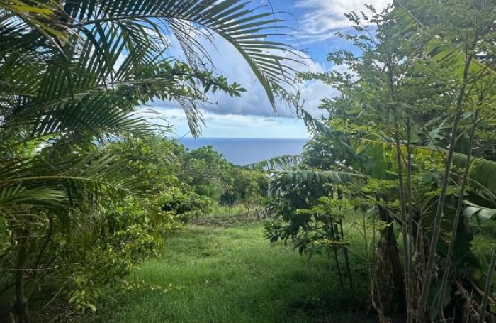 Vente Terrain 2220m&sup2; Vieux Fort